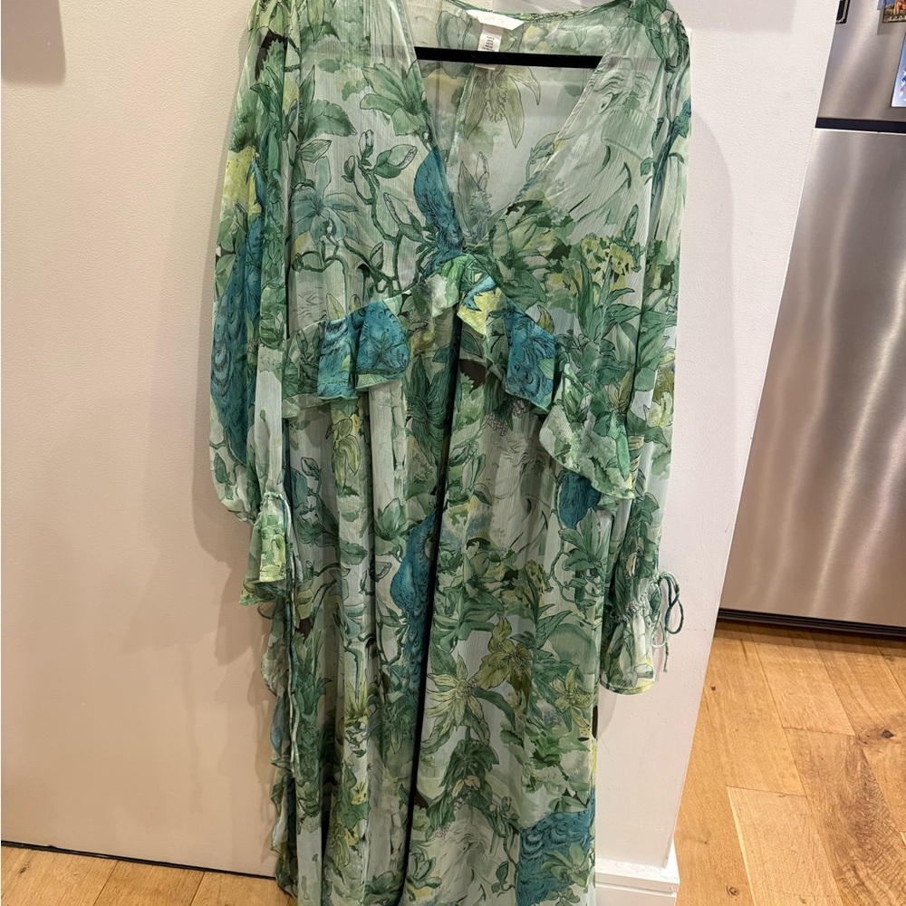 H&M Light Green Botanical Sheer Maxi Duster